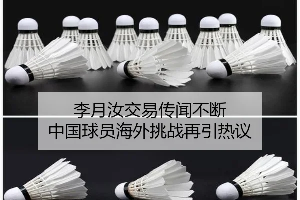 李月汝交易传闻不断 中国球员海外挑战再引热议